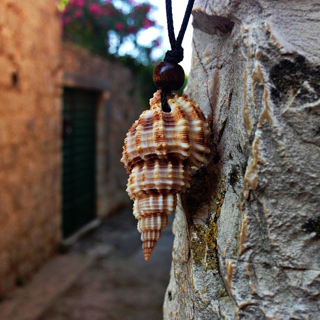 collier en coquillage